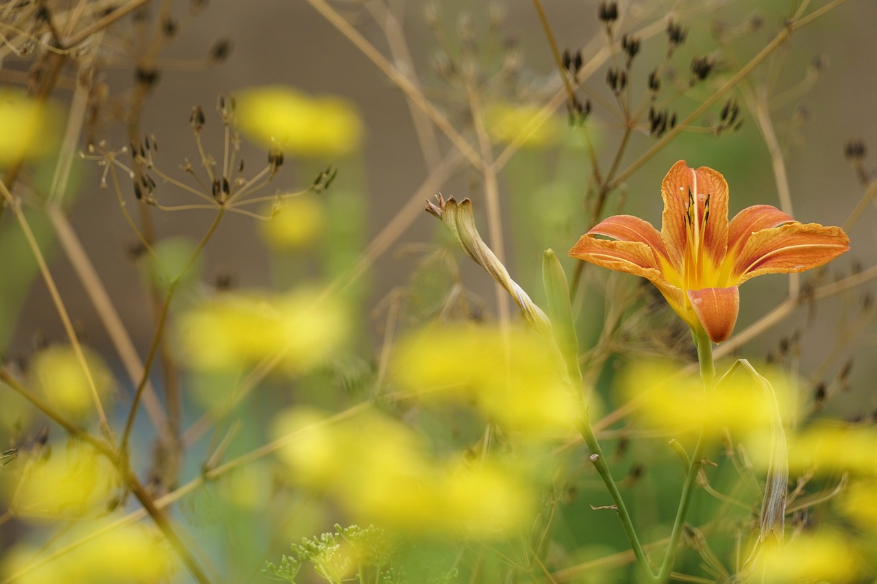 Simple Steps to a Perfect Flower Garden Painting